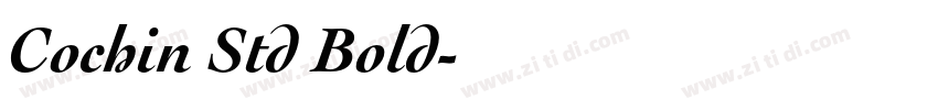 Cochin Std Bold字体转换